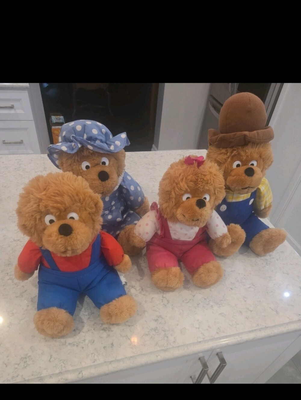 VTG 1993 Chosun Berenstain Bears 15" Plush Set Complete LOT 90s Collectibles